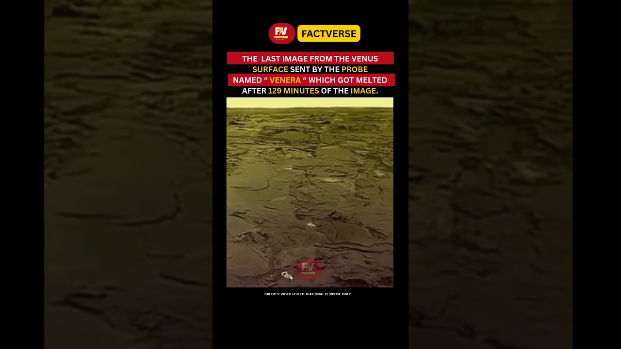 The Last Images From Venus Before the Probe Melted 😳| FactVerse-121| 