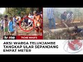 Warga TelukJambe Karawang Ramai-Ramai Tangkap Ular Sanca di Kali | tvOne Minute
