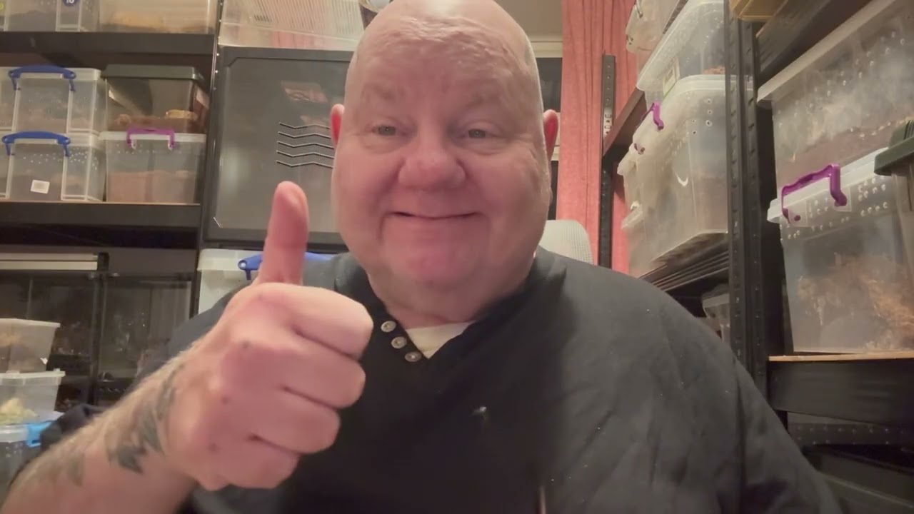 Southampton invert show 2025 my haul 