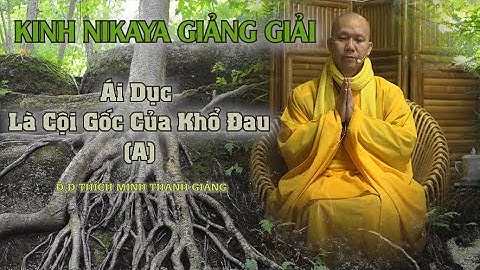 Kinh NIKAYA Giảng Giải - Ái Dục Là Cội Gốc Của Khổ Đau   A