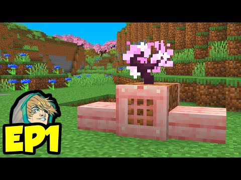 Watch Thinknoodles - S10:E20 MINECRAFT ALPHA IN 2010!! - 10 Years