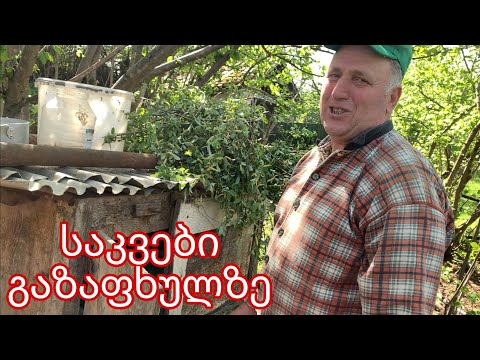 საკვები გაზაფხულზე ბოცვრებისთვის 🐇🐇 მებოცვრეობა საჩხერეში