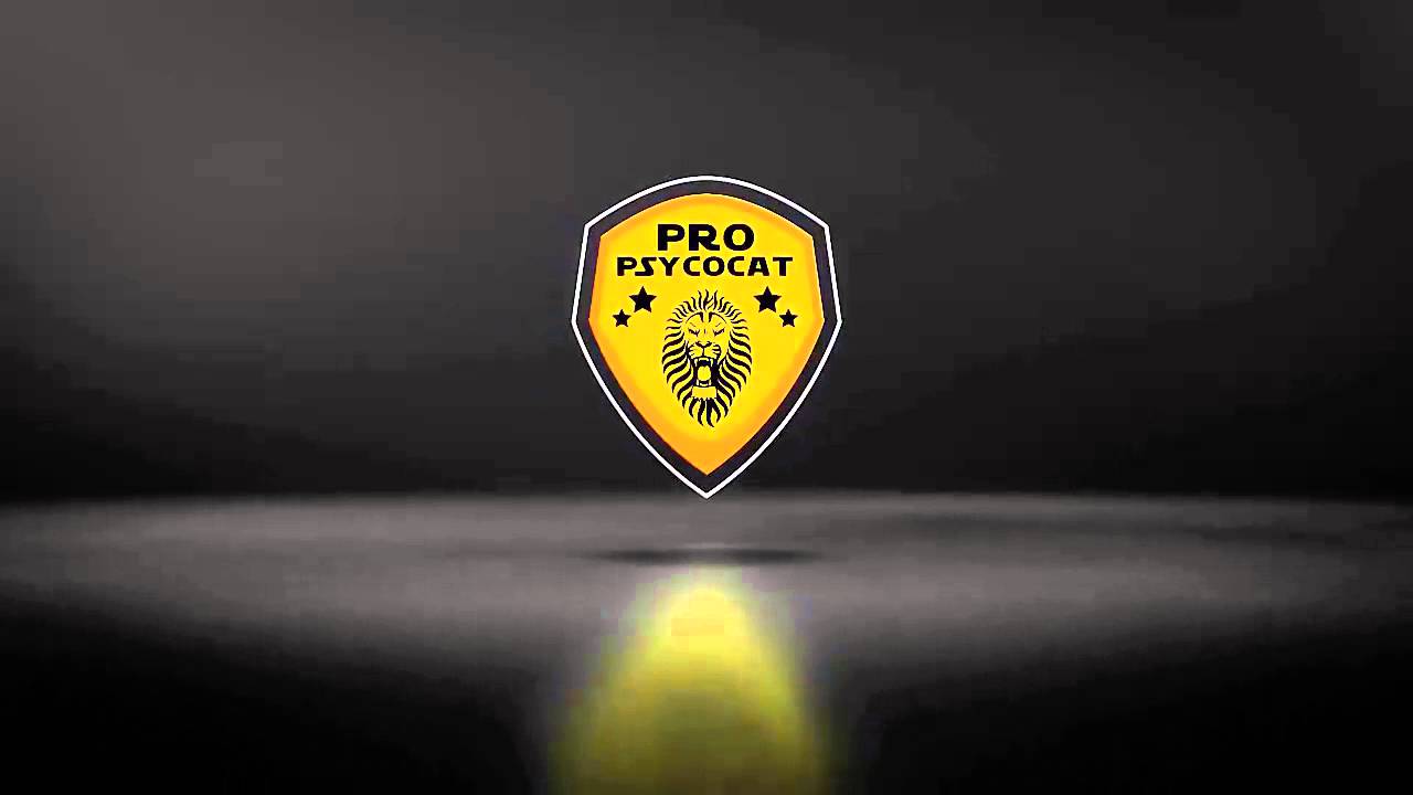 MUSIC INTRO PROpsycocat by NEWOLDERS32