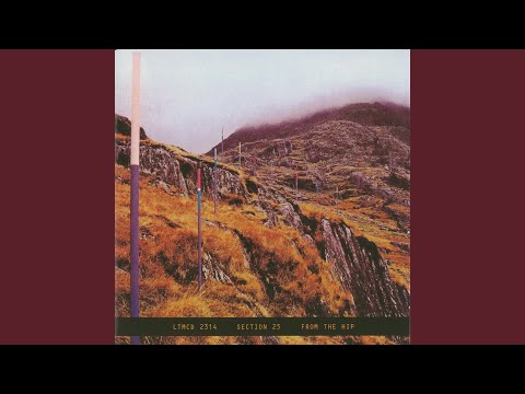 Section 25 — Dirty Disco II