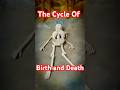 The Cycle of Birth and Death | జనన మరణ చక్రం#birth #death #lifecycle #tirupati #iskon #life #love