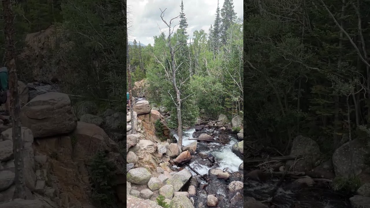 Albert Falls Feels Different in the Fall 🍂💦