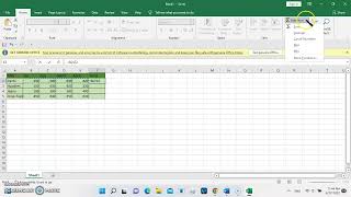 The demonstration of a spreadsheet software, excel by STK