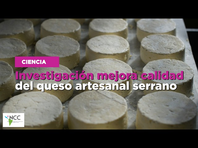 Investigación mejora calidad del queso artesanal serrano