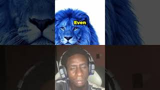 Download Lagu #youtubeshorts  #shorts #viral #fyp #funny #trending #gaming MP3