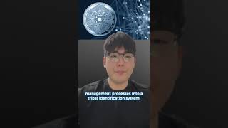 Project Catalyst (by General Manage's vision) - part 2