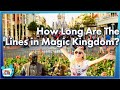 Experiment: How Long Are the Lines in Magic Kingdom?