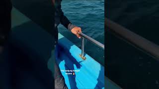 Trip Tanjung Lompat Desaru 🔥 20/8/2023