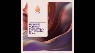 Fouk - CDSS (Fluid Funk)