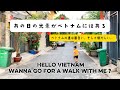 Vietnam Walks -180cm Papa-                              【ベトナムの道は面白い、そして懐かしい…】