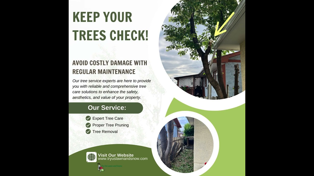 Try Us - Keep your trees check
