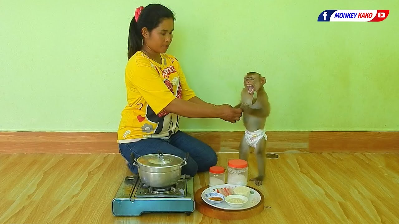 Mater Chef Assistant Monkey Kako And Mom Cooking Taro Porridge Recipe