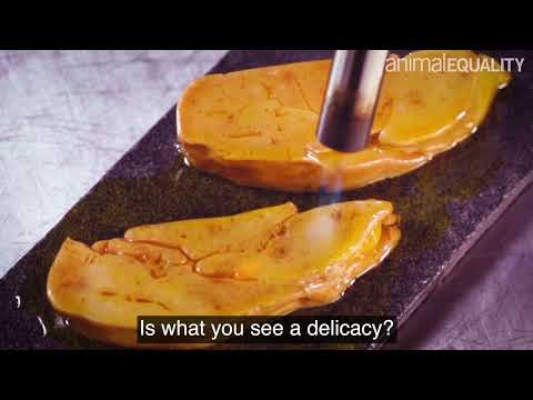 Foie Gras: This Is Animal Cruelty