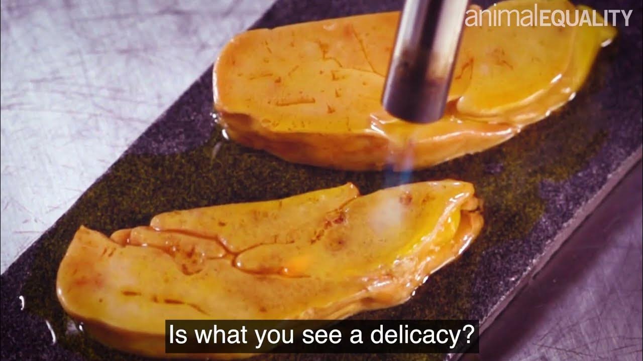 Foie Gras This Is Animal Cruelty YouTube