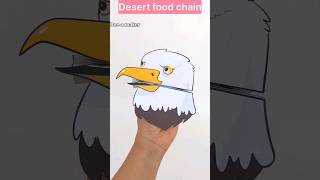 Food chain foldable print and use#scienceproject #stemactivities #stemeducation