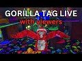 gorilla tag live