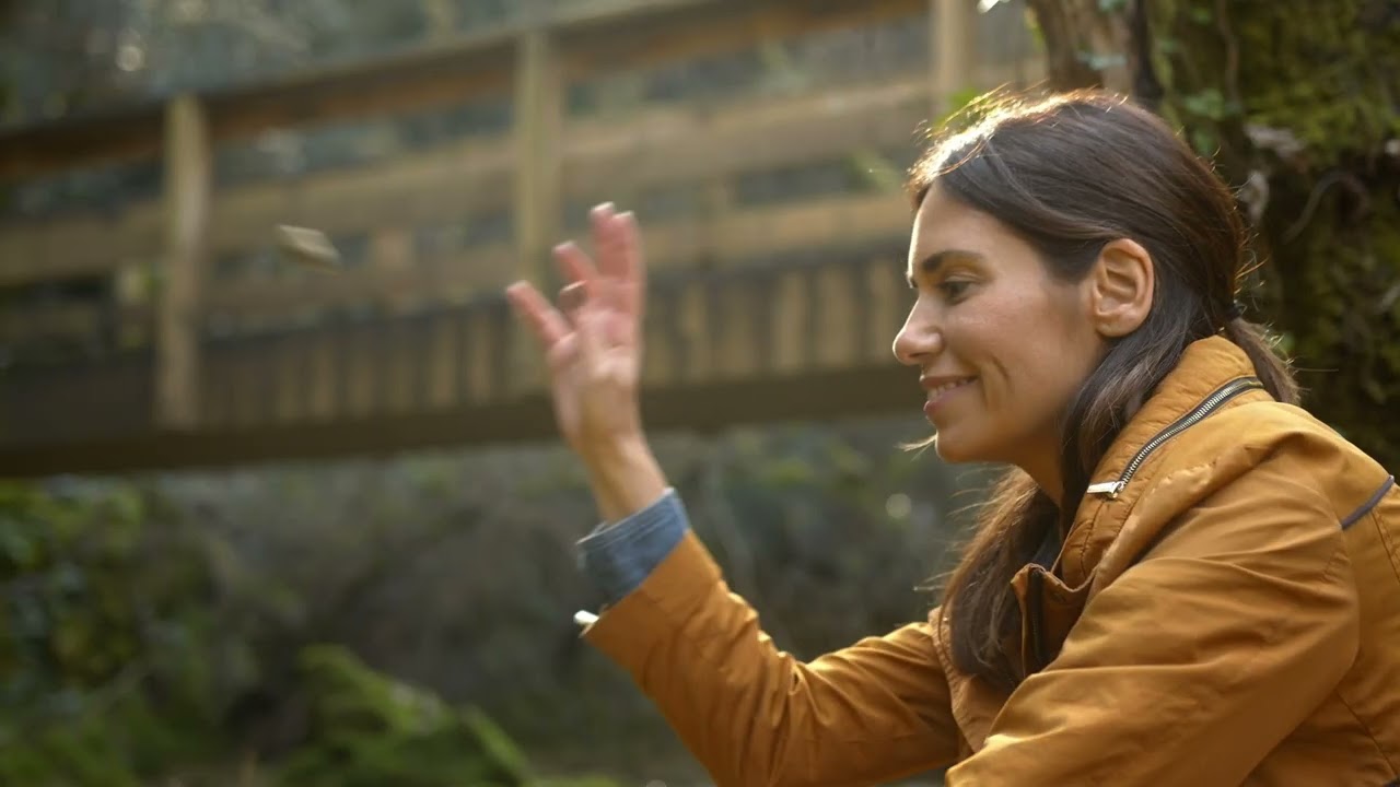 Passadiços do Rio dos Mouros
