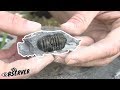 Fossil Collecting & harvesting | Trilobites & Brachiopods | Part 1/3