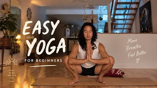 Easy Yoga for Beginners 🌿 Gentle Flow + Card Reading