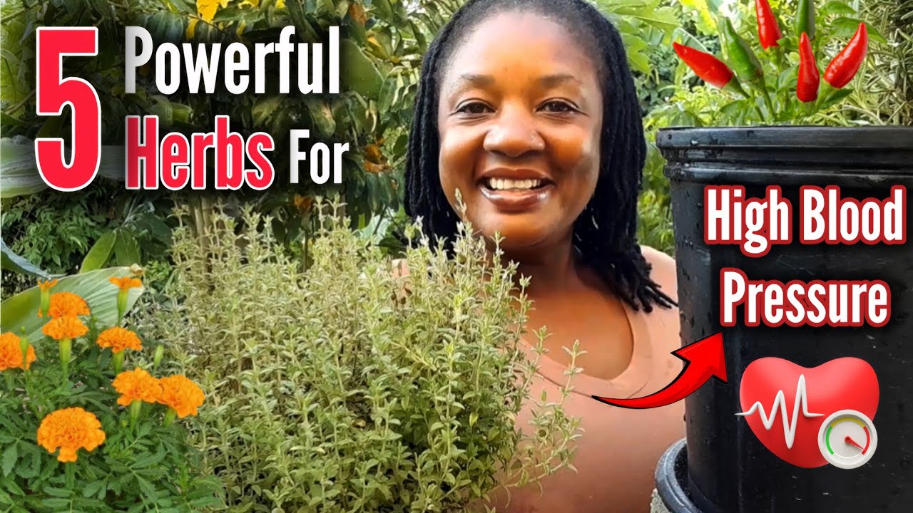 Пять (5) мощных трав от повышенного артериального давления/гипертонии