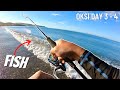 BEACH FISH | Occidental Mindoro FISHING | Y2E40