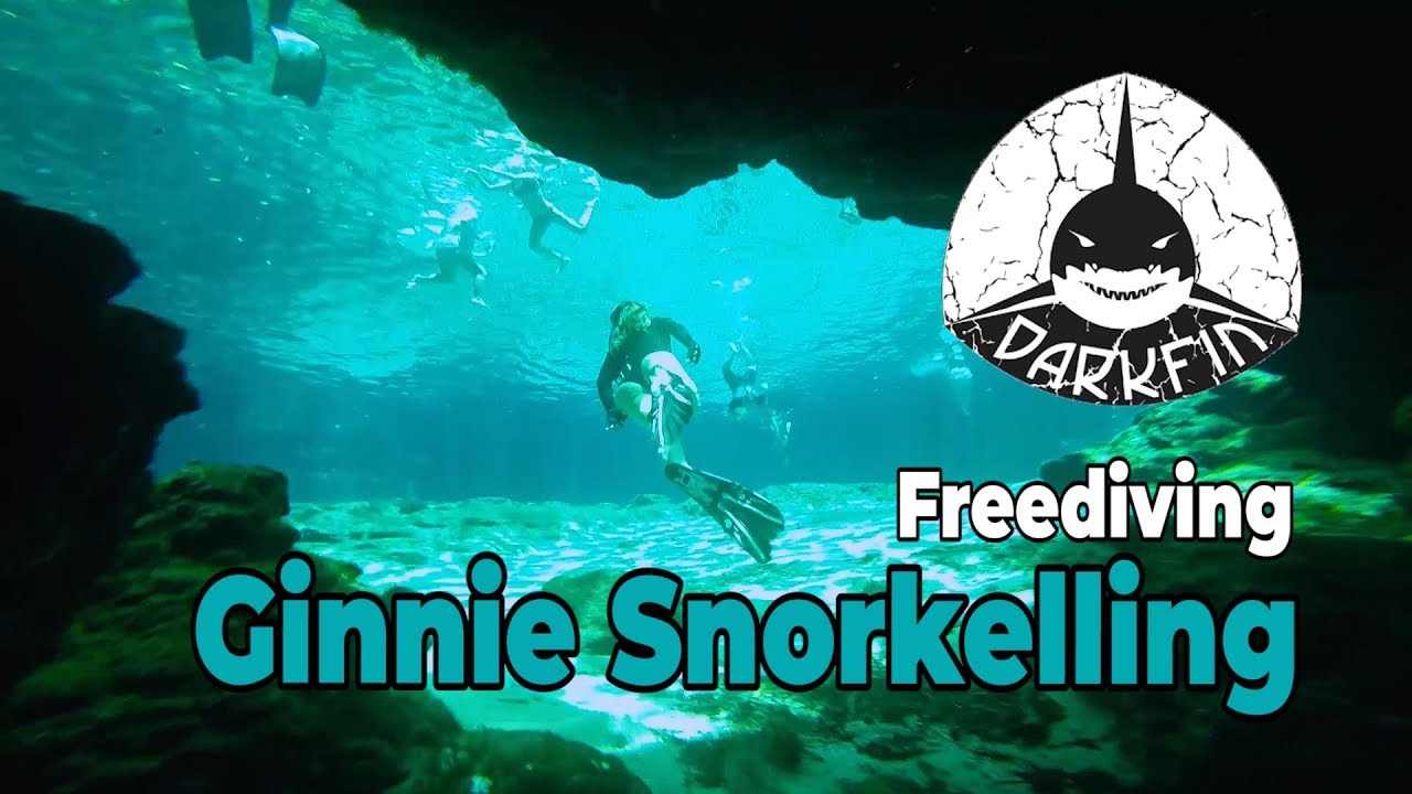 Snorkelling freediving | underwater cave | cool water | ring shape bubbles