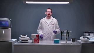 Western Blot Buffers - Probe Western Blots Correctly for Clear Results