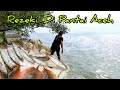 Menjala Di Pantai Aceh Dan Pantai Remis//udang putih.