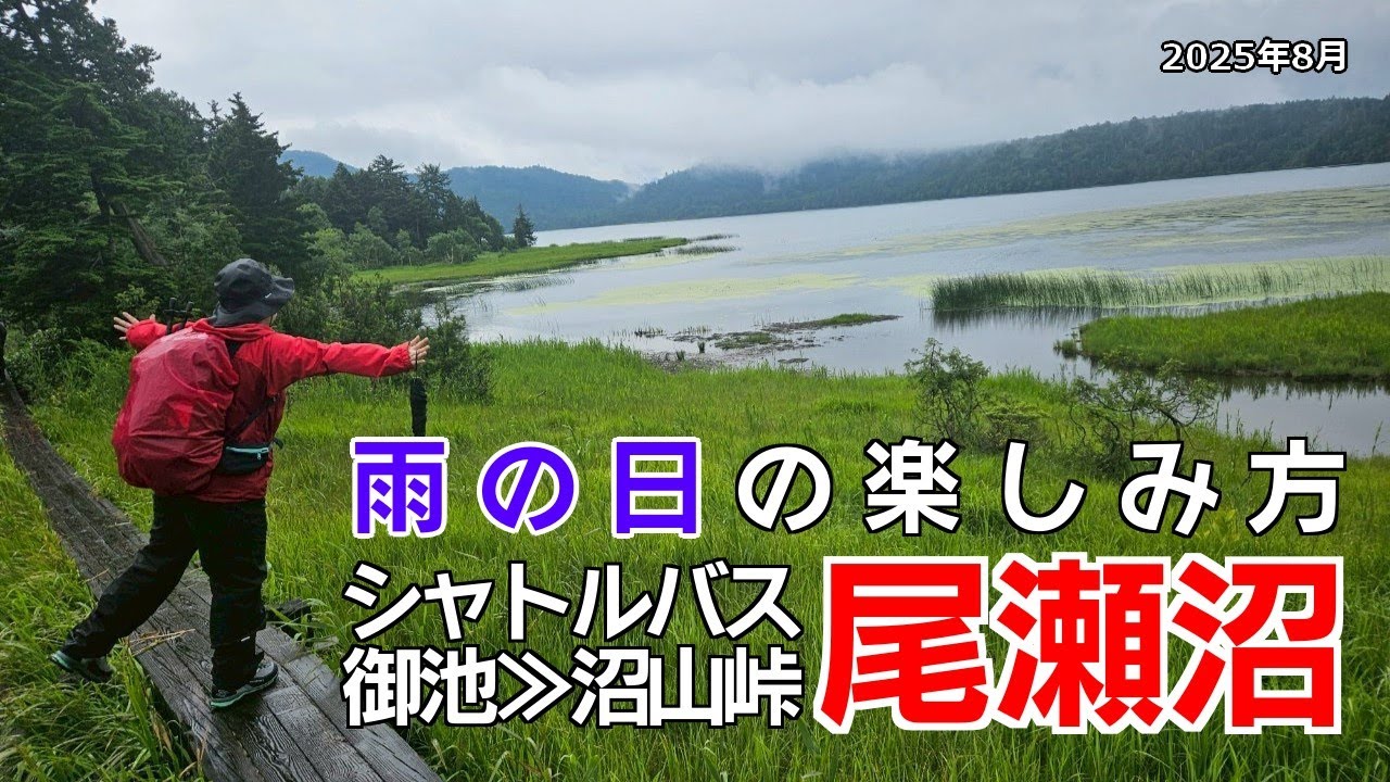 【尾瀬】雨の日の楽しみ方≪御池～沼山峠～尾瀬沼一周≫