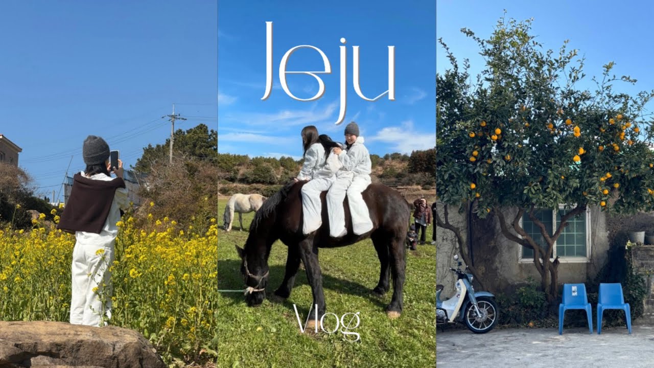 [Vlog] 1박 2일 제주 요가여행🧘🏻‍♀️ | 수련하고 말의 해 맞이 홀스테라피받고 제주 감성카페, 소품샵, 맛집 야무지게 다니기
