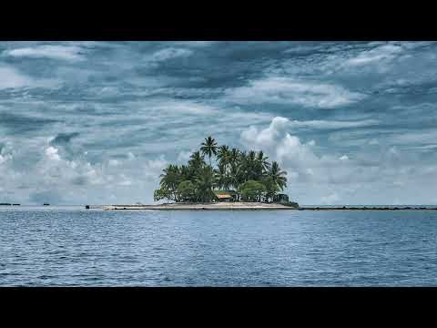 賣力 - 雪二+沈蟲蟲