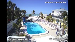 Anna Maria Island, Florida - Live Pool Camera