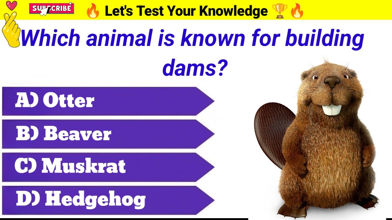 “Word GK Quiz in English | Improve Your Vocabulary with Fun Questions” | GK Questions | Puzzle