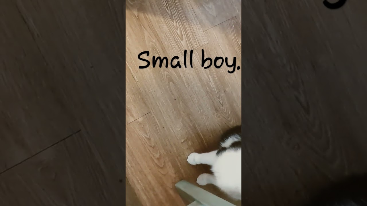 small boy vs bog boy. 