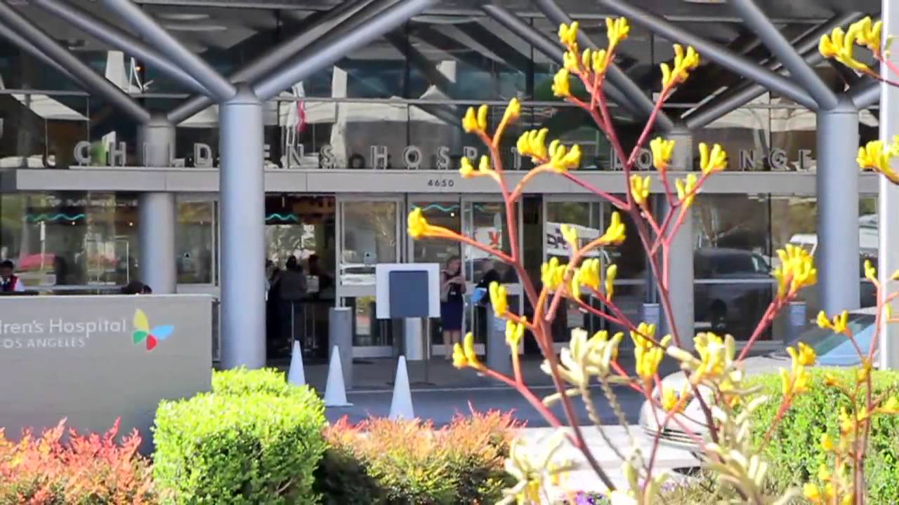 Children of War Foundation