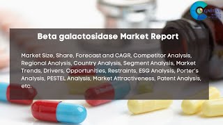 Beta galactosidase Market Report 2024 | Forecast, Market Size, Growth, Trends