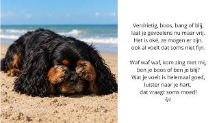 🐶🎵 Cinta's Gevoelenslied
