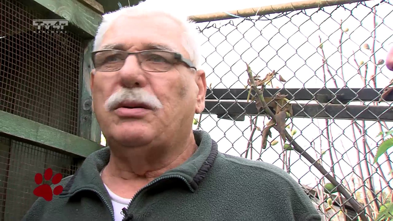 Životinjska farma 27 12112016 Perad i kunići 1. dio