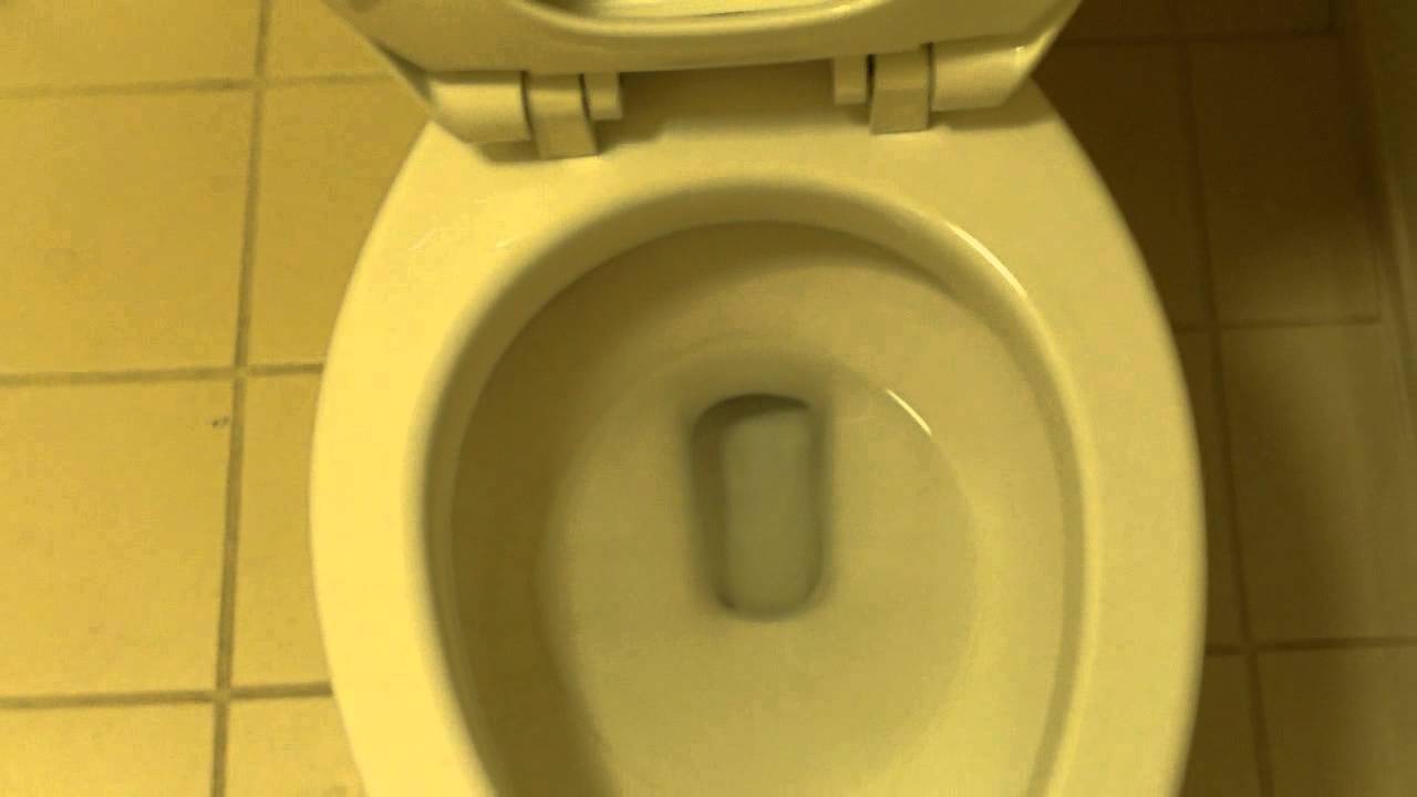 4832 2007 American Standard Cadet 3 Toilet 2 YouTube