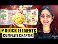 P BLOCK ELEMENTS in 90 Mins | MIND MAP Revision for JEE Main &amp; Adv