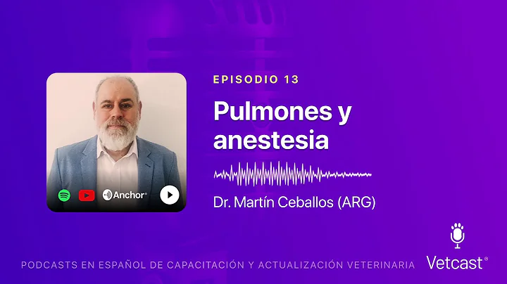 Vetcast - Episodio 13 - Dr. Martn Ceballos - Pulmo...