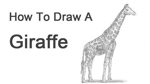 How to Draw a Giraffe