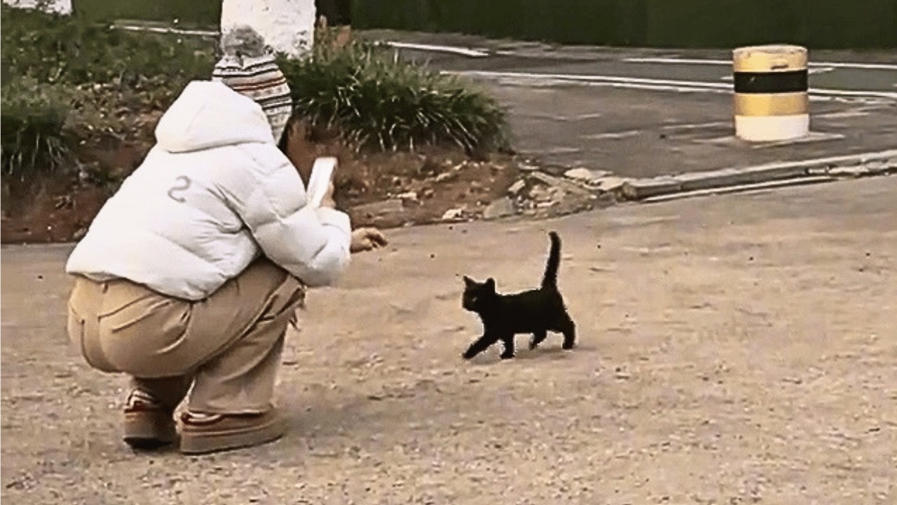 eyden着用　CHILLIN BLACK CAT JACKET 黒 The moment that stray black cat walked up to my girlfriend, I knew