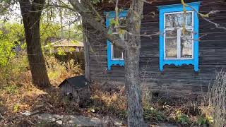 видео: Продается куча недвижимости в Минской областиРубрика «Смешные цены «Городской поселок Уречье и Языль картинка: Продается куча недвижимости в Минской областиРубрика «Смешные цены «Городской поселок Уречье и Языль