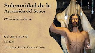 Sunday Mass ~ Solemnity of the Ascension of the Lord