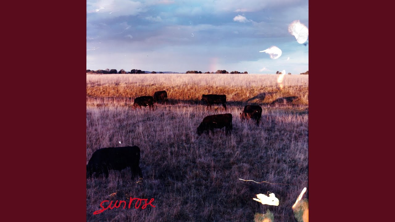 Ver Jolene Too Pt. 2 en YouTube Ver Jolene Too Pt. 2 en YouTube